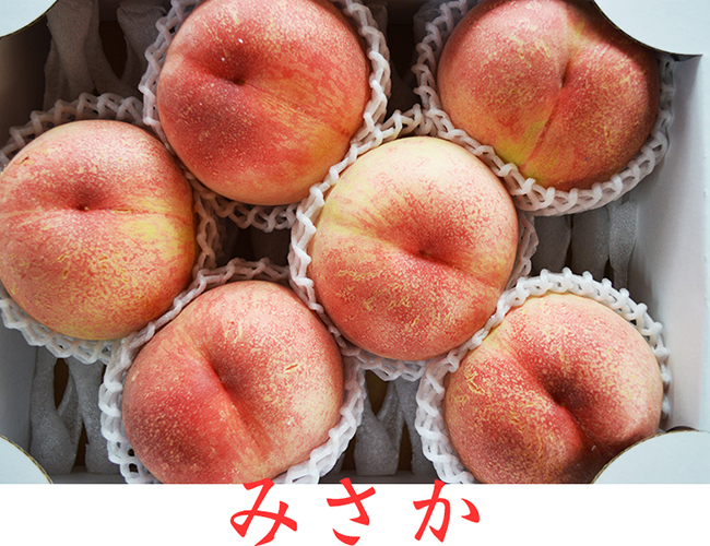 7月初旬に桃の収穫を予定しています。|末永果樹園（福岡県行橋市）