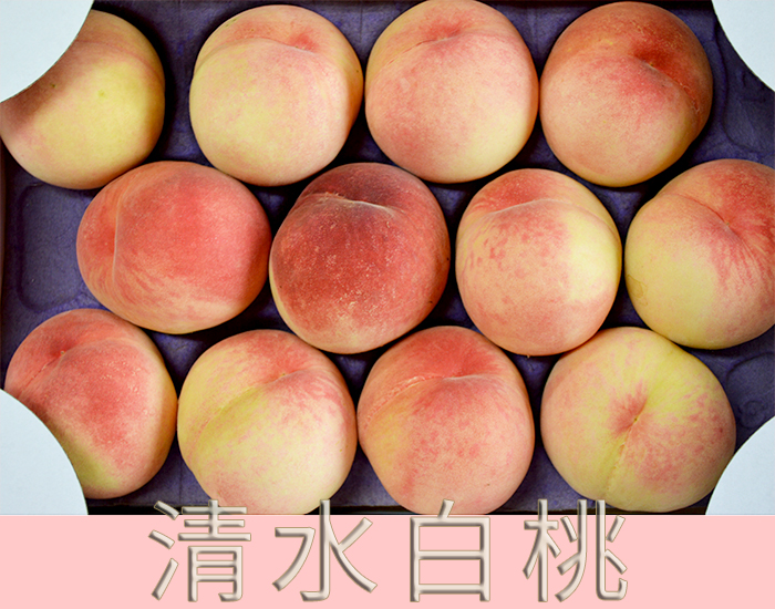 高級品種の白桃「清水白桃」｜末永果樹園（福岡県行橋市）